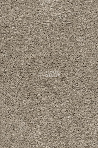 Ковролин AW Invictus Heroicus 32 фото 1 | FLOORDEALER